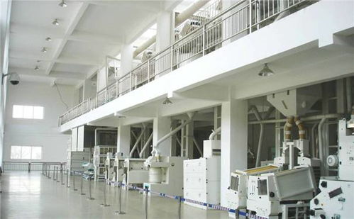 年產10000t大米生產加工廠房設計,大米加工廠設備布局圖