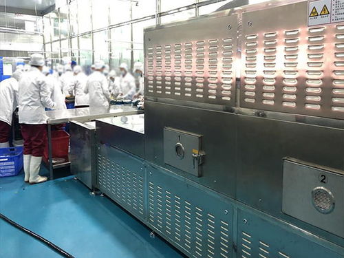 化工原料烘干設備廠家報價 鴻科微波設備 化工原料烘干設備
